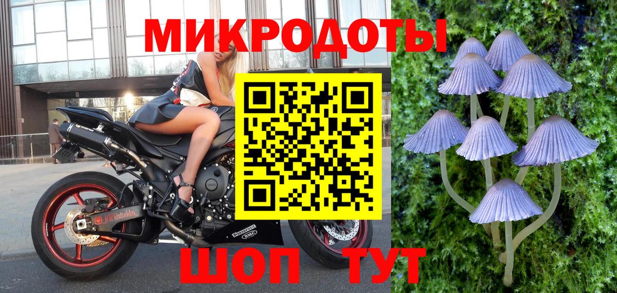 Псилоцибиновые грибы Cubensis  Вход с VPN  хочу наркоту  Будённовск 
